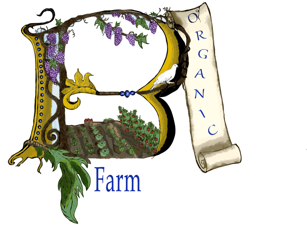 B-Organic_Logo No_Background